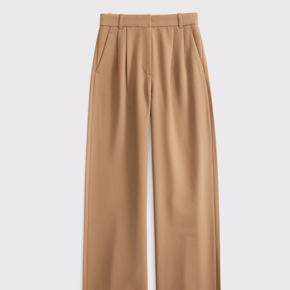 Abercrombie Sloane Tailored Wide Leg Pants Tan Size 34 NWT